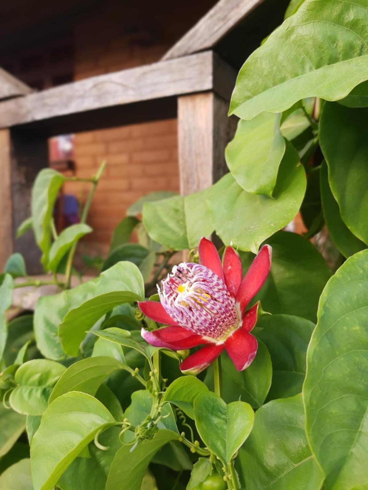 Huayapam Yu'U Lodge San Andrés Huayapan Esterno foto